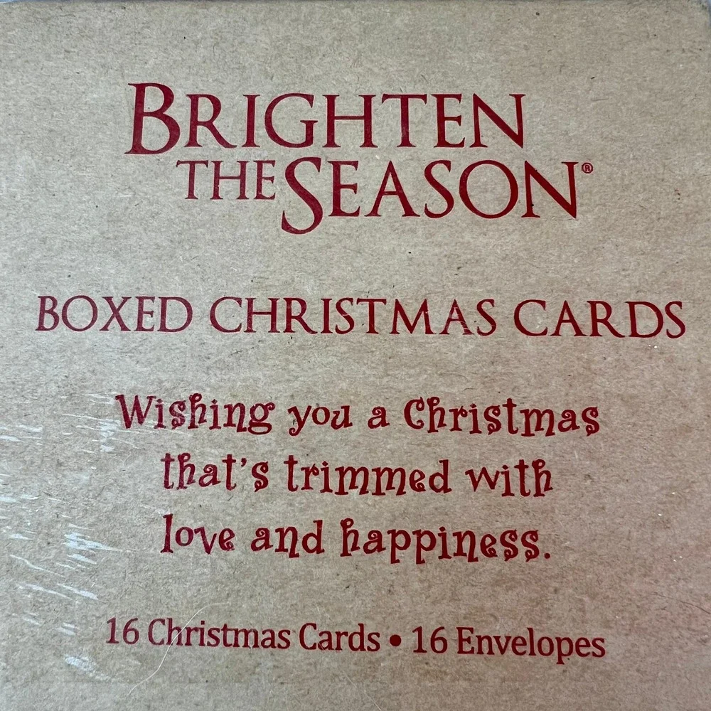 Brighten the Season Boxed Christmas Cards 16ct Blue Coastal Robin Roderick NEW